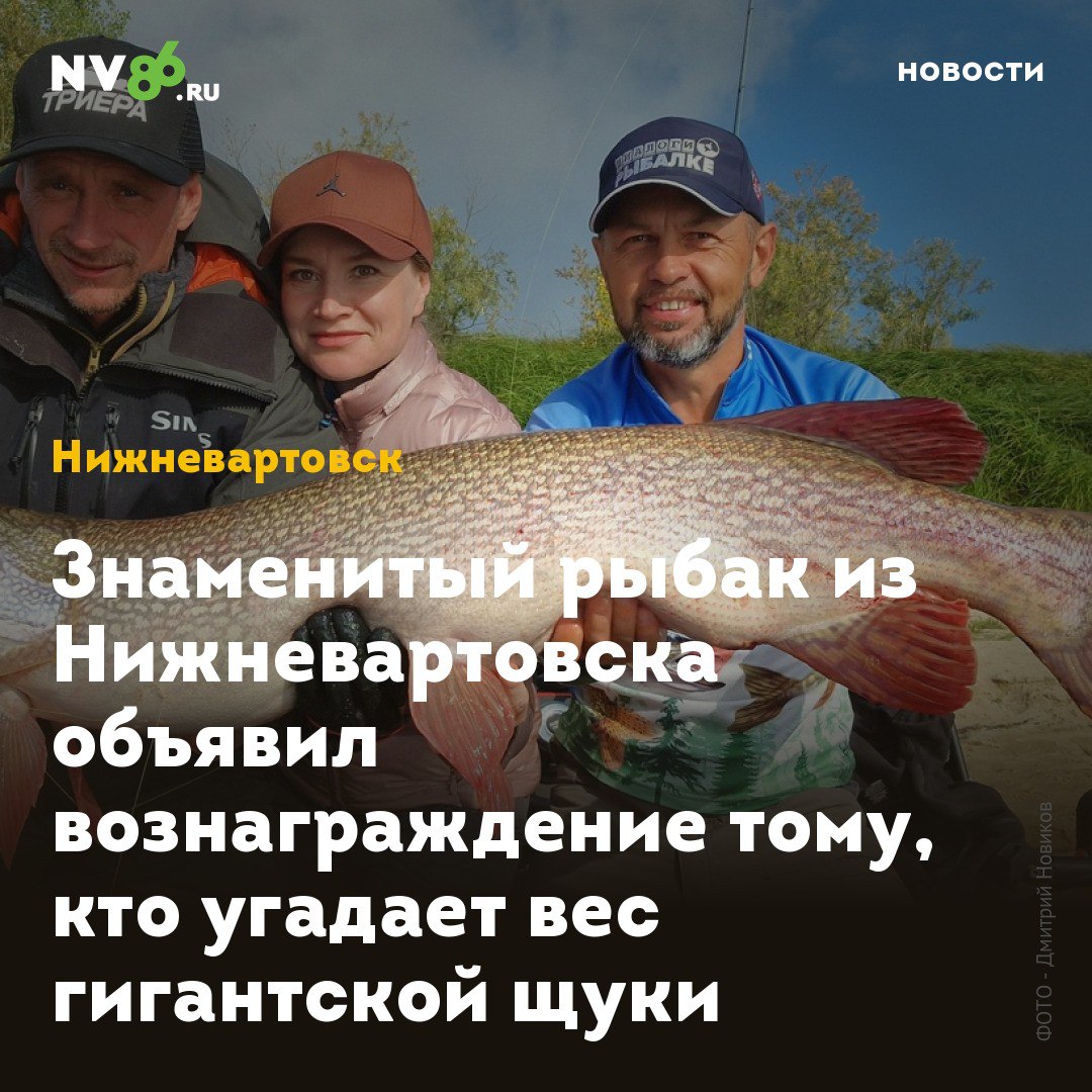 Знаменитый рыбак из Нижневартовска объявил вознаграждение тому кто угадает вес гигантской щуки Знаменитый рыбак из Нижневартовска ХМАО выловил гигантскую щуку и объявил вознаграждение для любителей рыбалки Активист Дмитрий Новиков предлагает вартовчанам угадать вес трофейной рыбы Известный организатор парада лодок и рыболовных туров Дмитрий Новиков организовал серию конкурсов для рыбаков В своих соцсетях он публикует фотографии выловленных огромных щук и дарит снасти тем кто угадает их вес Первому победителю достались 10 пачек приманок Второй конкурс за аналогичный приз еще продолжается   vk com wall754836201 8406 сотни рыбаков уже высказали свои предположения Сегодня мы поймали еще трофейную щуку Конкурсы будут сейчас идти постоянно я буду призы постоянно раздавать рассказал NV86 Дмитрий Новиков Ранее NV86 писал что вартовчанин поймал в Оби рыбу монстра   nv86 ru news nizhnevartovsk 1688077 nv86 me vk com nv86ru ok ru nv86 ru