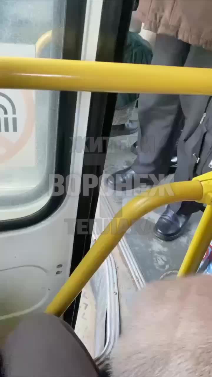 Инциденты с водителями автобусов: безбилетник в Калининграде и водитель Porsche в Екатеринбурге