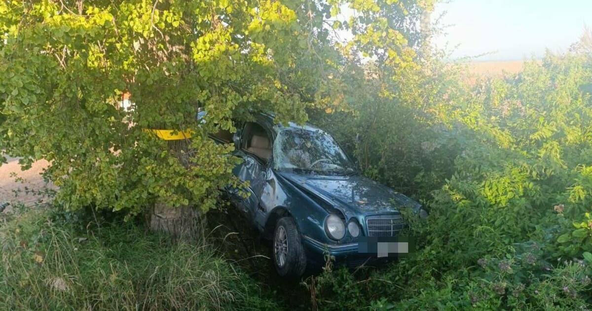 В Багратионовском районе легковушка врезалась в дерево, в аварии пострадали 6 человек  ДТП произошло в воскресенье, 17 августа, в 05:35 в пос. Солдатское. Водитель 2001 года рождения, управляя Mercedes, «допустила наезд на придорожное дерево слева по ходу движения». Сидевшая за рулём женщина и пять пассажиров   1994, 2 — 2006 и 2 — 2007 года рождения получили травмы.  По данному факту проводится проверка. Устанавливаются все обстоятельства произошедшего.  Как сообщили в МЧС региона, на место аварии выезжали пожарные. Они отключили аккумуляторную батарею в машине, оказали первую помощь пострадавшим и передали их медикам.  Самого молодого пассажира госпитализировали в тяжёлом состоянии.  На месте работали 9 человек личного состава и 2 единицы техники.  Фото: МЧС региона