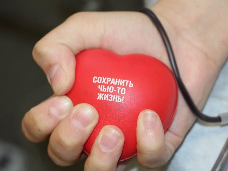 Тему донорства предложили включить в «Разговоры о важном». Член комитета Госдумы по охране здоровья Юлия Дрожжина уже направила обращение в Минпросвещения России. По предложению депутата на уроках планируется рассказывать школьникам о важности донорства для спасения жизней, об основных правилах сдачи крови. Особое внимание будет уделено роли добровольчества в современном обществе. Как вам такая тема? Лучше и не скажешь. Подписаться