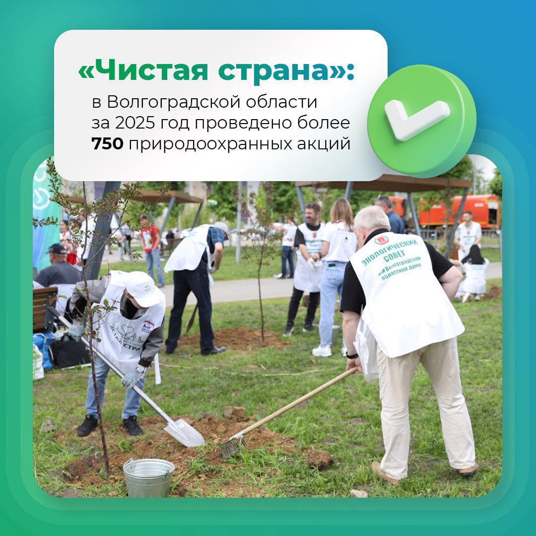 Чистая страна в Волгоградской области за 2025 год проведено более 750 природоохранных акций Активисты проекта Чистая страна подвели итоги работы в Волгоградской области за 2025 год Проведено более 20 экологических рейдов свыше 750 природоохранных акций проверено около 800 мест накопления ТКО В мероприятиях по уборке территорий сохранению лесов и экологическому просвещению приняли участие десятки тысяч жителей в том числе более 220 тысяч детей и подростков Проект охватывает контроль за экологическими программами защиту прибрежных зон борьбу с несанкционированными свалками и формирование экологической культуры у молодёжи В 2026 году актив партийного проекта продолжит системную работу нацеленную на сохранение природного наследия нашего края защиту и увеличение площади лесов в условиях степной зоны рассказала координатор партпроекта Чистая страна в Волгоградской области Ирина Соловьева