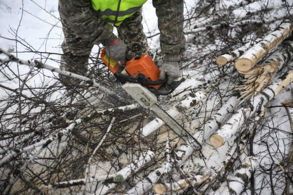 Под Белгородом пенсионер получил дрова после звонка на прямую линию с президентом  Инвалид второй группы был вынужден обратиться в колл-центр программы «Итоги года с Владимиром Путиным», поскольку они с супругой живут на окраине деревни совсем одни.  Звонок принял оператор колл-центра — ветеран СВО, из-за ранения лишившийся зрения. Он решил помочь мужчине с заготовкой дров и связался с сослуживцами в Белгородской области. Просьба была передана военным волонтёрам из группы «Брёвна 31». Они доставили инвалиду дрова в течение суток.    Подпишись на «Говорит Москва»