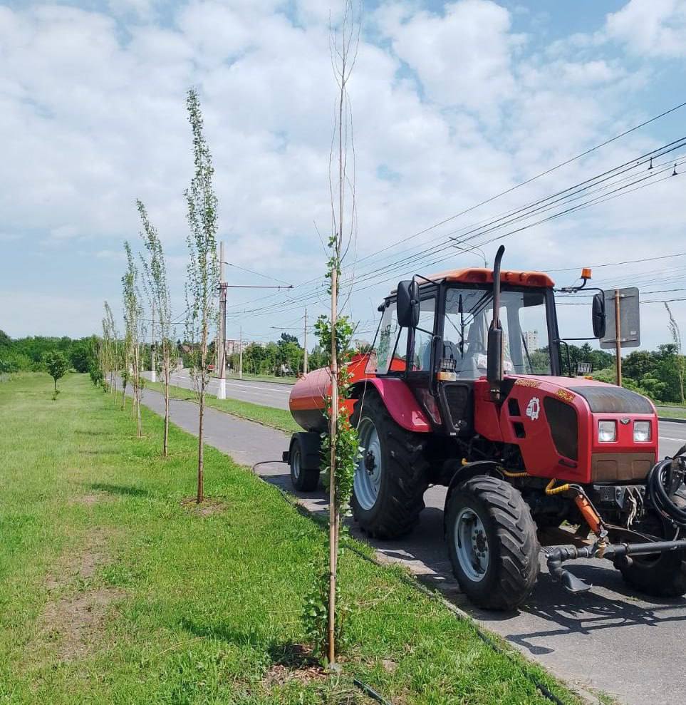 Эксперты поливают крупные саженцы и кустарники на улицах Курска В жаркую погоду зелёные насаждения областного центра находятся на особом контроле у специалистов, которые поливают деревья и клумбы и поддерживают необходимую влажность почвы для здорового роста саженцев. С вниманием эксперты уделяют время растениям, появившимся в прошлом году на улицах Ленина, Радищева, 50 лет Октября, в парке Героев Гражданской войны и других общественных пространствах. — Частота полива зависит не только от погодных условий, но и от типа и возраста растений, — объяснили в комитете городского хозяйства. Так, работы проводятся ранним утром или вечером. Фото: администрация города Курска.