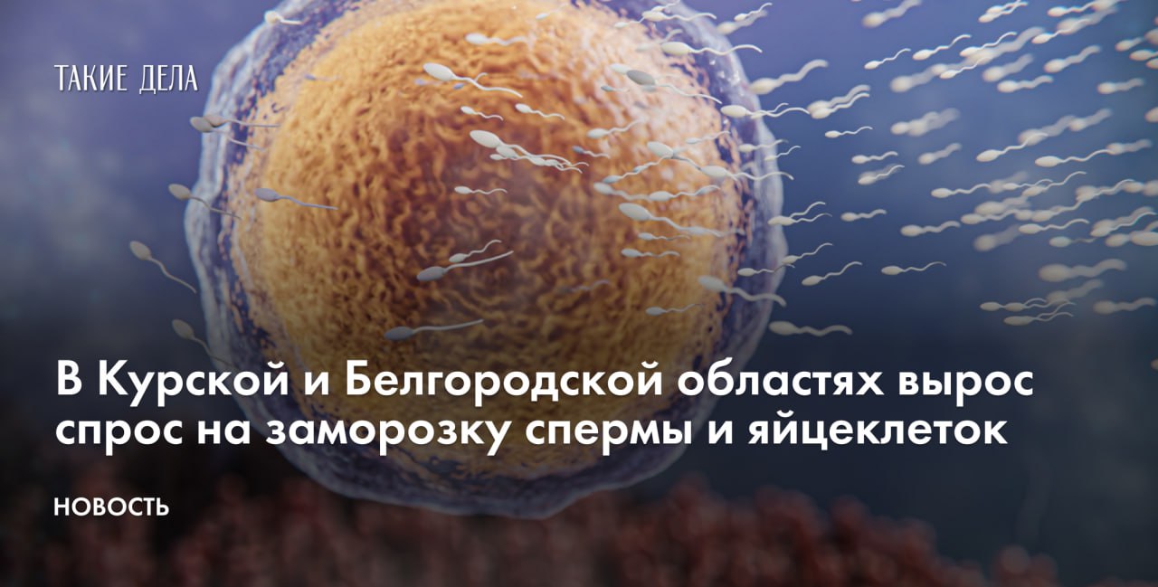 В 2024 году жители Курской и Белгородской областей чаще замораживали сперму и яйцеклетки, чем в 2023 году. Об этом пишет «Коммерсантъ» со ссылкой на данные минздрава Курской области и клиник.   В Курской области этот показатель вырос почти вдвое по сравнению с 2023 годом. Так, в крупнейшей клинике региона в 2024 году врачи провели 31 процедуру по криоконсервации спермы и семь заморозок яйцеклеток.   В Белгородской области в 2022 году число проведенных процедур по заморозке спермы выросло на 32%. По итогам 2024 года в 2,5 раза выросло число процедур по заморозке яйцеклеток.  За этими услугами обращаются люди, которые планируют рожать детей, но не в ближайшее время, пациенты с тяжелыми заболеваниями, а также участники «специальной военной операции» в Украине.