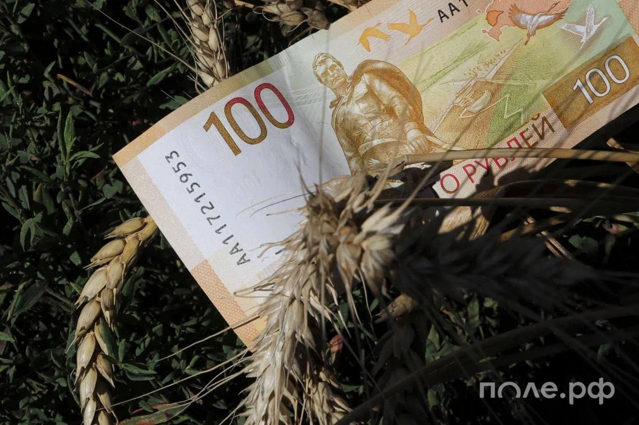 Дамате и Сбер заключили первую в России сделку товарного РЕПО с фуражной пшеницей Такая сделка подразумевает продажу партии зерна с обязательством ее обратного выкупа Дамате через определенный срок В компании подчеркнули что это новый для российского агросектора финансовый инструмент который позволяет эффективно монетизировать складские запасы превращая их в оборотные средства Этот инструмент решает конкретную бизнес задачу высвобождает средства из замороженных активов без роста долговой нагрузки сказал заместитель председателя правления ПАО Сбербанк Анатолий Попов Подробнее Продать урожай пшеницы и не других агрокультур можно на платформе Поле РФ Каждый день в этом разделе публикуются предложения о закупке урожая от ведущих экспортеров и трейдеров pole journal