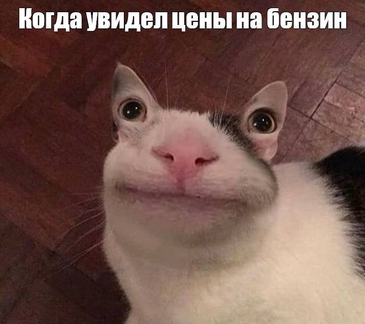 Бензин подорожал в Иркутске За неделю цены на топливо выросли на 1 рубль Например на заправке БРК АИ 92 теперь стоит 63 98 рубля за литр Это коснулось и других АЗС города Подписаться Прислать новость