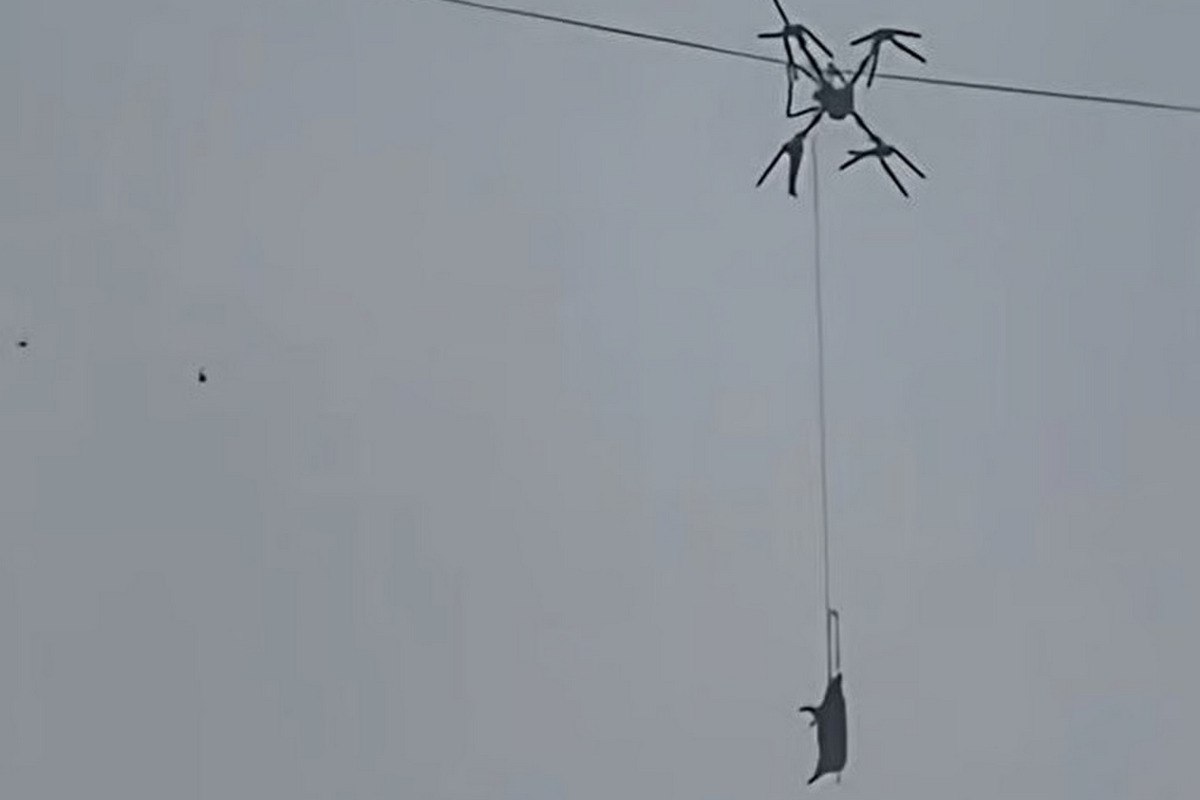 Деревня в китайской провинции Сычуань осталась без света из за свиньи на дроне Местный фермер перевозил животных на скотобойню по воздуху поскольку наземный транспорт в этой местности использовать затруднительно Одна из свиней во время полета запуталась в высоковольтной линии В результате в деревне на 10 часов пропало электричество Больше новостей в Daily News