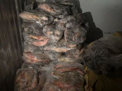 1 4 тонн рыбы изъяли полицейские в Кропоткине В рамках операции «Путина-2025» в пяти складах местных бизнесменов полицейские изъяли более 14 тонн карпа, сельди, скумбрии, толстолобика, мойвы и другой рыбы без маркировки. Продукция предназначалась для розничной продажи в магазинах. Незаконную деятельность пресекли сотрудники УЭБиПК краевого главка полиции с коллегами из ОЭБиПК ОМВД России по Кавказскому району и работниками Россельхознадзора. Проводится проверка. Поддержать наш канал Полиция Кубани
