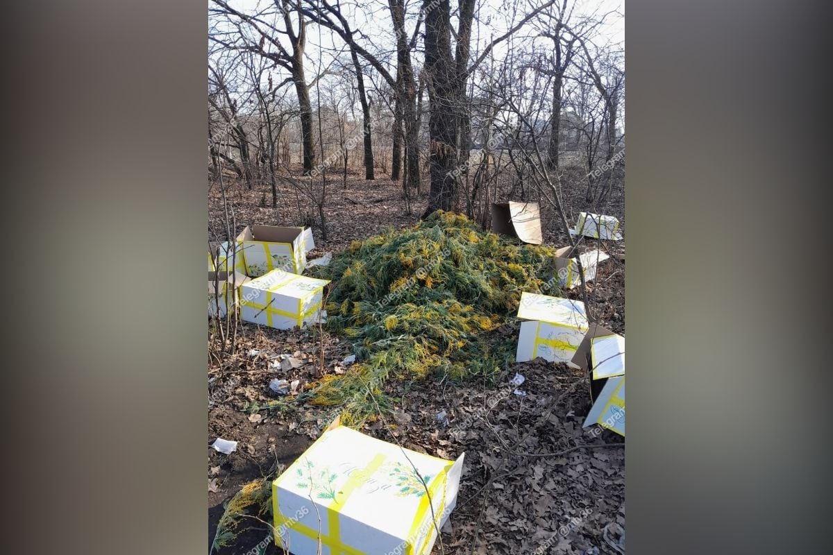 Воронежцы украсили мимозами свой праздник лишь на несколько дней     Кадрами нераспроданных цветов в социальных сетях поделились воронежцы 9 марта. Стихийная свалка образовалась на улице Антокольского. Со слов очевидцев сюда были снесены и оставлены цветы, нераспроданные в праздник. Также, очевидцы отметили, что в праздник цветы продавались по завышенным ценам, но желающих купить букет из пяти тюльпанов за 600 рублей или веточку мимозы за 250 находилось не много.  ↗  Прислать новость   Подписаться