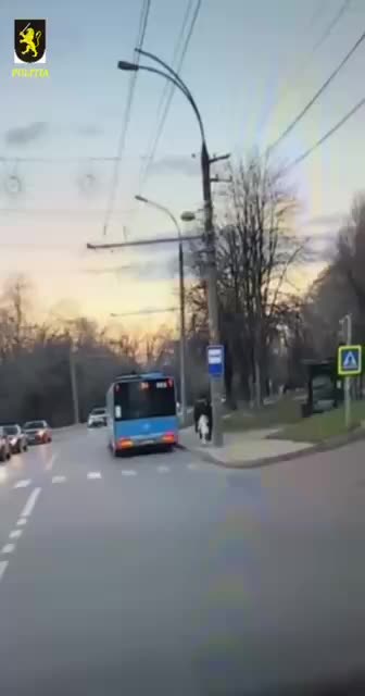 Два инцидента с автобусами в Петрозаводске и Кишиневе: наезд на водителя и пешехода