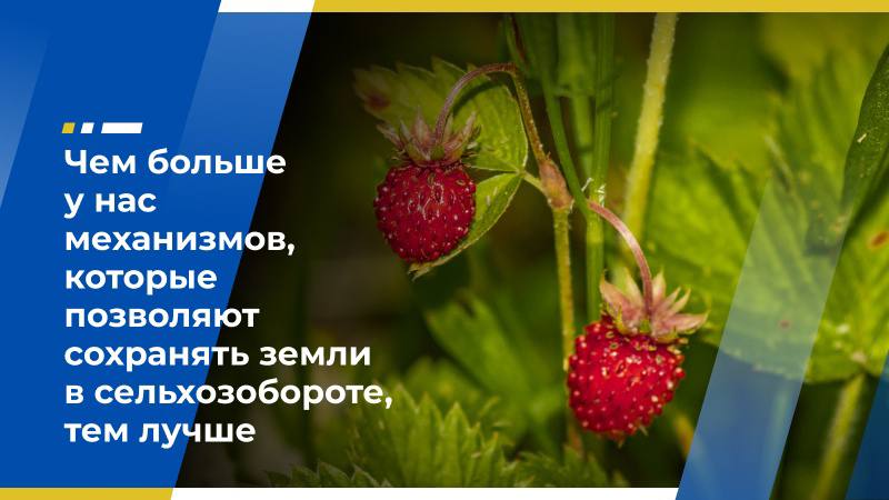 Бабкен Испирян: Чем больше у нас механизмов, которые позволяют сохранять земли в сельхозобороте, тем лучше Площадь сельскохозяйственных угодий, на которых можно вести лесное хозяйство, за последние два года выросла в России вдвое, сообщает ТАСС со ссылкой на пресс-службу Рослесхоза. «В России растёт число сельхозземель, где может вестись лесное хозяйство. Так, за последние два года количество таких участков увеличилось вдвое – с 484 до 815. Наибольшее их число сосредоточено в Удмуртской Республике, Смоленской и Кировской областях», — говорится в сообщении. Эксперт Экономического совета ЛДПР, заместитель председателя совета Ассоциации «Народный фермер» Бабкен Испирян отметил, что названное количество участков в масштабах всего сельского хозяйства России невелико. По его мнению, речь идёт о нескольких сотнях гектаров. Эксперт в целом положительно оценил саму систему, которая позволяет аграриям заниматься лесным хозяйством. «Если говорить совсем просто, то раньше, если участок условной пашни зарастал лесом, его передавали в Лесной фонд, и с огромной вероятностью после этого для сельского хозяйства он был потерян. Существующий же сейчас механизм позволяет использовать такой участок для выращивания древесины, медоносов, саженцев для озеленения городов и тому подобного. Спустя время его можно снова легко распахать и сеять пшеницу и т. д. Чем больше у нас механизмов, которые позволяют сохранять земли в сельхозобороте, тем лучше для экономики, создания новых рабочих мест и налоговой базы. Лесное хозяйство — это всегда лучше, чем бесконтрольное зарастание. Это значит, что с землёй работают», — сказал он. Бабкен Испирян подчеркнул, что многим регионам механизм, позволяющий использовать заросшие сельхозземли для ведения лесного хозяйства, стал большим подспорьем. Отметим, за последние три года действия программы в региональные лесные ведомства поступило более 1,5 тыс. запросов о получении заключения о наличии лесов на землях сельхозназначения. Источник: ОСН Фото: Freepik.com Экономический совет ЛДПР