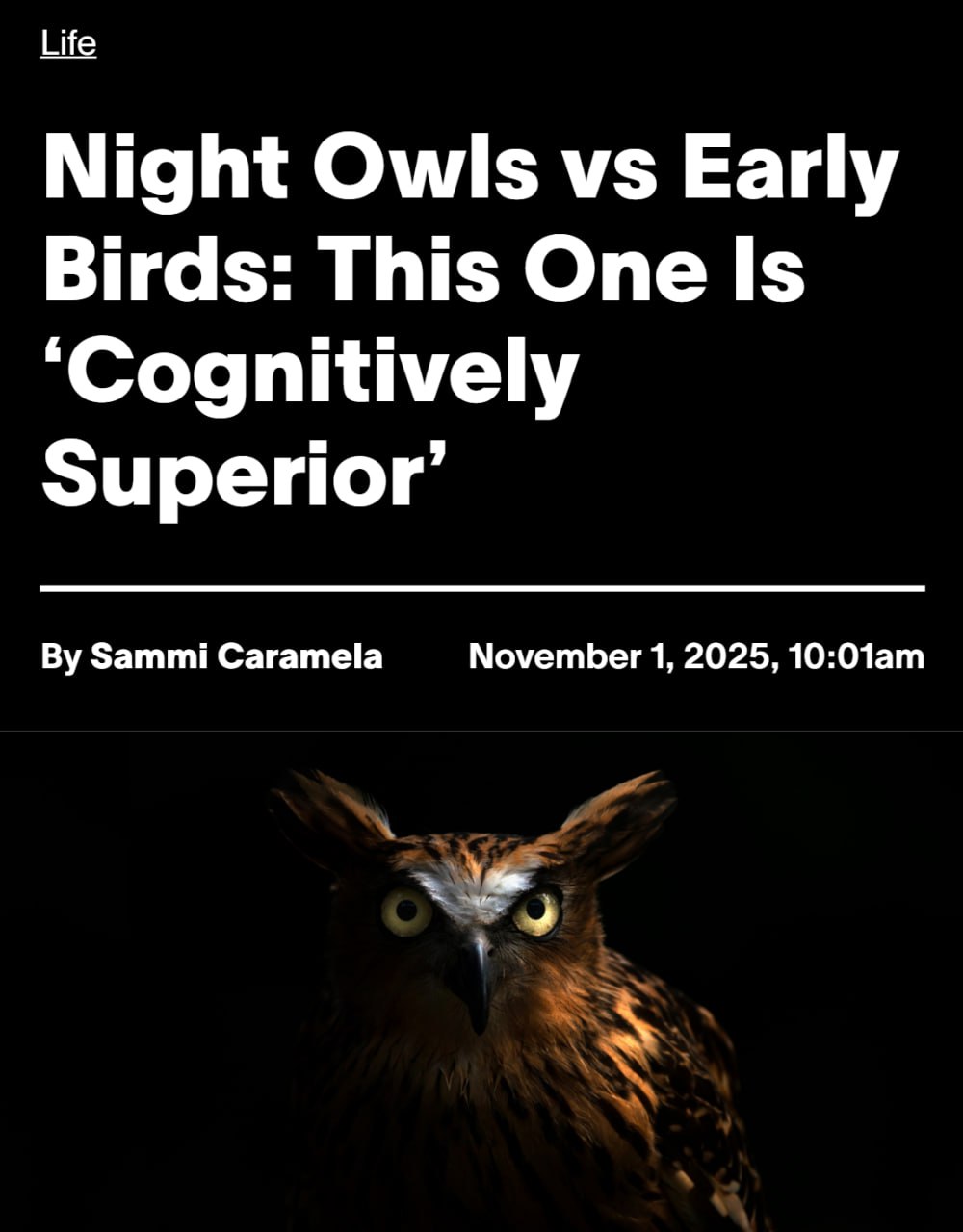Совы УМНЕЕ жаворонков исследования показали что чем позже человек просыпается тем выше его интеллектуальные способности Учёные протестировали более 26 000 человек в результате у сов были САМЫЕ высокие показатели в тестах на интеллект рассуждение время реакции и память Чуть хуже было у промежуточной категории тех кто просыпается не слишком поздно и не слишком рано Хуже всех прошли тесты жаворонки Но нюанс в том что вся корпоративная культура ломает сов из за рабочего графика с 8 00 до 17 00 или с 9 00 до 18 00 совы страдают от постоянного недосыпа и не могут раскрыть свой потенциал Совы пора устраивать революцию Но только строго после 14 00