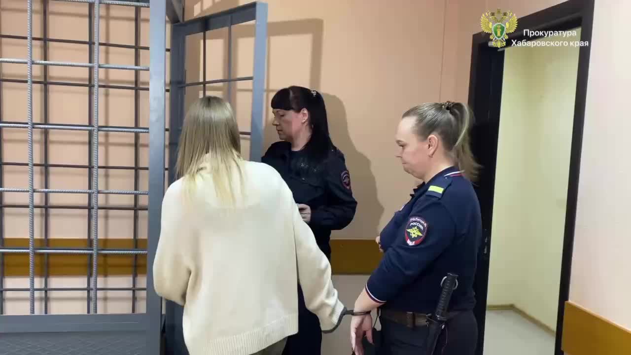 В Хабаровске вынесен приговор мошеннице, обманувшей более 30 человек на 35 млн рублей