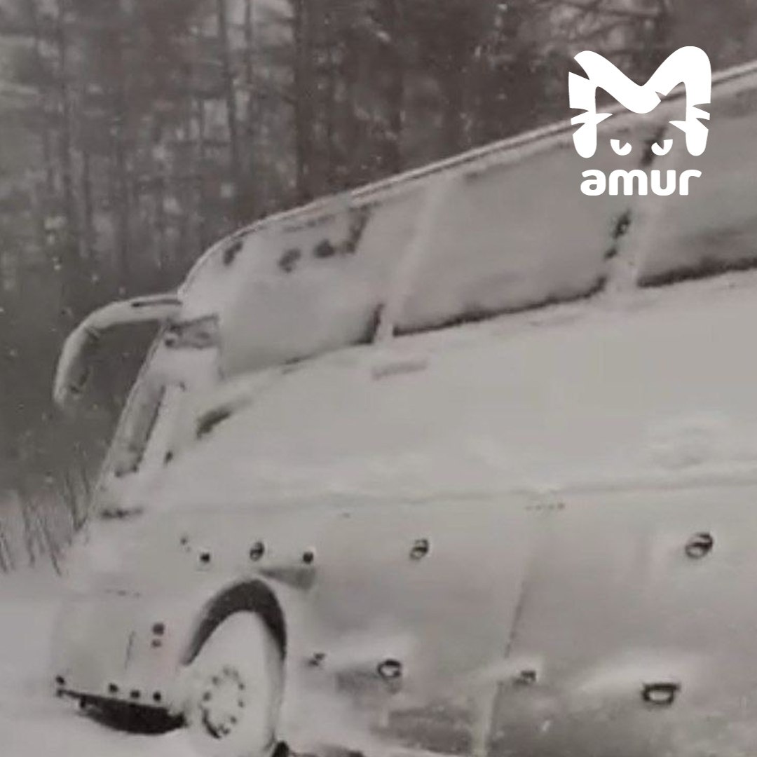 Пассажирский автобус улетел в кювет на Сахалине.  Транспорт ехал из Александровска-Сахалинского в Южно-Сахалинск. Сошёл с трассы недалеко от села Кировского из-за сильного снегопада и плохой видимости.   Десятки людей стоят на холодном ветру и ждут помощи. Автобус с обочины вытащить пока невозможно. Прокуратура начала проверку перевозчика.