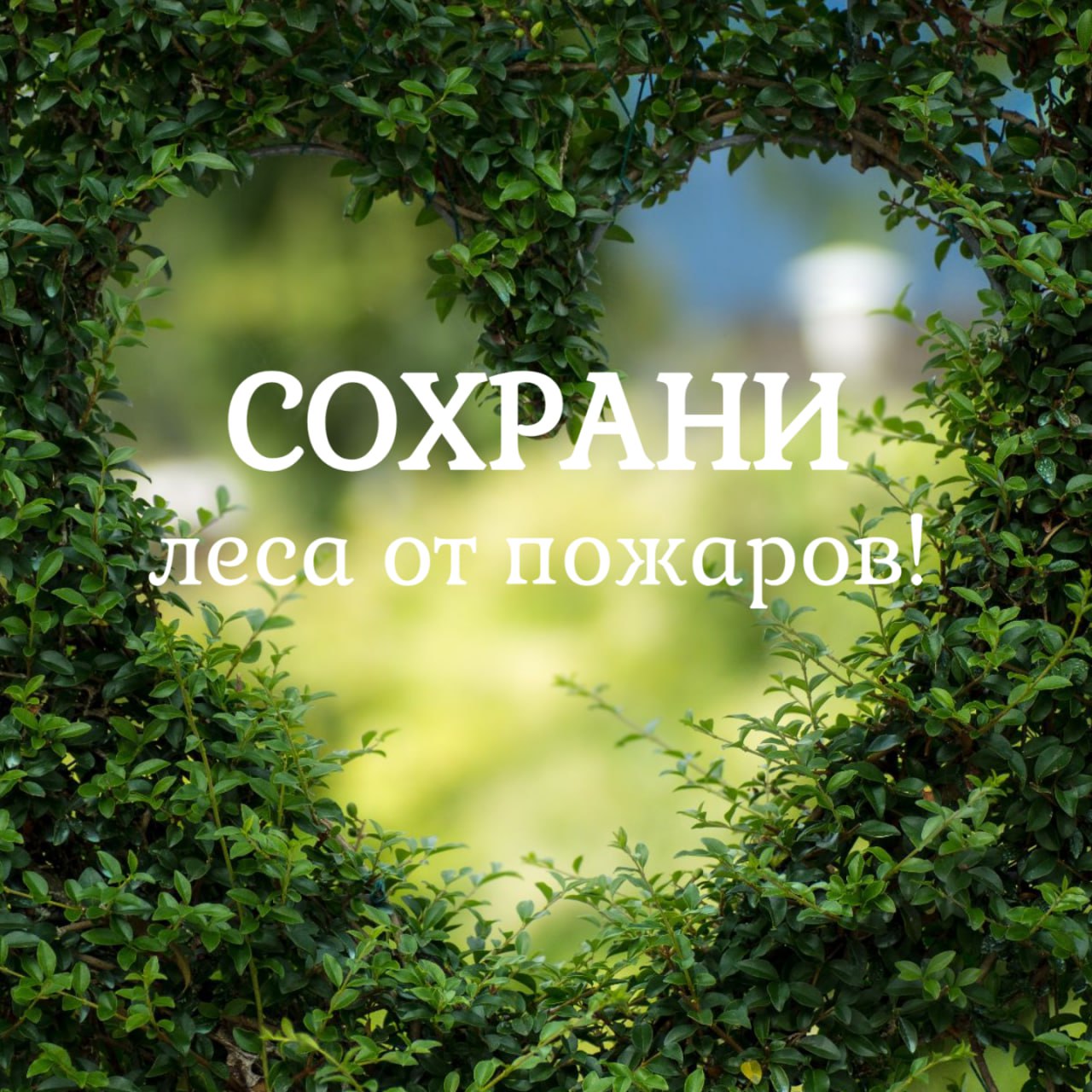 В Улан-Удэ продлили запрет на посещение лесов до 17 июля Особый противопожарный режим в городских лесах продлен. В связи с этим временно ограничено пребывание людей и въезд транспортных средств. В лесах и на прилегающих территориях запрещено: разведение костров проведение пожароопасных работ с использованием открытого огня сжигание порубочных остатков, мусора, сухой травы и бытовых отходов сельхозпалы приготовление пищи на открытом огне и углях Исключения: работы по охране лесов от пожаров, их воспроизводству и уходу за ними аварийно-спасательные работы Ограничения не распространяются на: сквозной проезд по дорогам общего пользования посещение островов Комсомольский и Богородский, футбольного поля на Верхней Берёзовке, мест проведения общегородских массовых мероприятий, баз отдыха, стадионов, детских лагерей тропы «Юбилейная» и «Здоровья» для скандинавской ходьбы. Патрулирование городских лесов продолжается, в том числе в выходные и праздничные дни. Если вы увидели лесной пожар, сразу звоните по телефону 20-44-44 или «112».