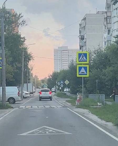 В подмосковном Лосино-Петровском подвезли знатного кринжа.  Там будто живут ещё в прошлом веке и поэтому распорядились установить картонных детей на пешеходных переходах. Метод такого успокоения трафика старый и он не работает, более того, признан опасным. Поначалу водители притормаживают, ожидая, что нарисованный мальчик перейдет дорогу. А потом у водителей вырабатывается привыкание, и они даже на живом ребёнке не тормозят, принимая его за ненастоящего.  Не знаем, какой недобросовестный специалист посоветовал этот метод местной администрации, но он не меньшая дурилка картонная, чем эти мальчики и девочки.