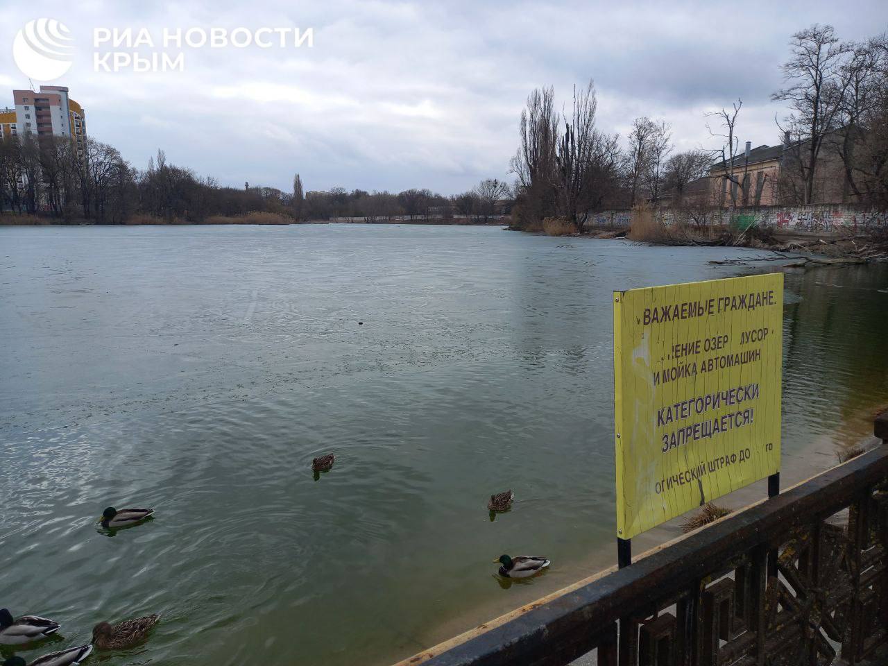 У причалов Нижнего пруда в Симферополе смогут швартоваться парусные лодки.  Об этом в эфире радио "Спутник в Крыму" рассказал мэр города Михаил Афанасьев.   "Пруд мы трогать не будем. Но у нас предусмотрено там обустройство причалов, чтобы можно было швартовать парусные лодки", – сказал он.  По его словам, территорию у радиорынка полностью благоустроят в этом году, причем она преобразится "со всех сторон" водоема. Работы планируют закончить к 1 сентября.  Там обустроят детские площадки, оборудуют освещение, видеонаблюдение и озеленят территорию.  ⏭⏮⏩⏪