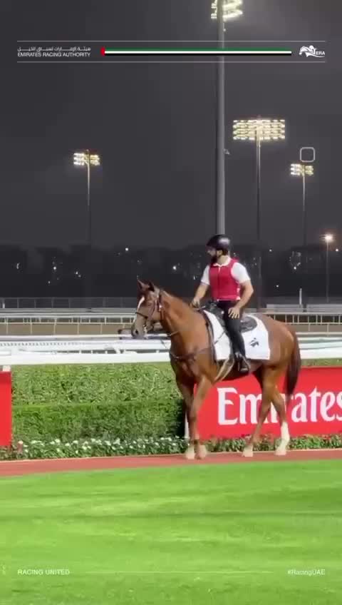 Жеребец Грей Босс из Дагестана победил на Dubai World Cup Carnival
