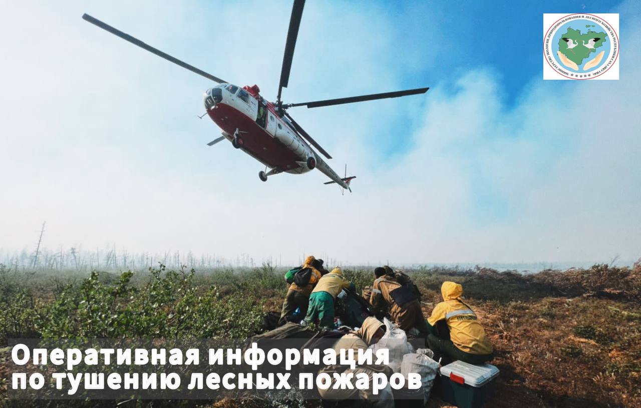 Оперативная информация о лесных пожарах на утро 6 июня 2025 года С начала пожароопасного сезона в Республике Саха Якутия ликвидировано 124 лесных пожара на общей площади 37 061,85 га. На начало суток 6 июня 2025 года действуют 3 лесных пожара на площади 12 га на территории Амгинского и Верхоянского районов. На тушение пожаров привлечено 49 огнеборцев и 2 единицы техники. Оперативность тушения составляет 65 %. С начала сезона установлено 40 виновников природных пожаров, составлено 91 протокол за нарушение правил пожарной безопасности в лесах. Особый противопожарный режим действует на территории Верхоянского, Усть-Алданского, Эвено-Бытантайского районов, го Жатай. При обнаружении лесного пожара звоните в прямую линию лесной охраны 8-800-100-94-00.