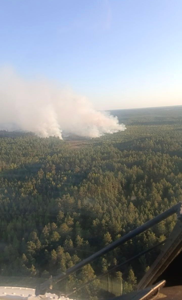Белорусские лесники тушат крупный лесной пожар на границе с Украиной Глава Минлесхоза Белоруссии Александр Кулик не стал исключать, что очаг возгорания, находящийся на территории Украины, был делом человеческих рук. «Есть такие подозрения, что это какой-то специальный поджог. Я думаю, не случайно. Полтора километра фронт огня – так просто не бывает в лесной экосистеме», – пояснил он. Подпишитесь на «Абзац» Добавьте «Абзац» в ленту «Дзена»
