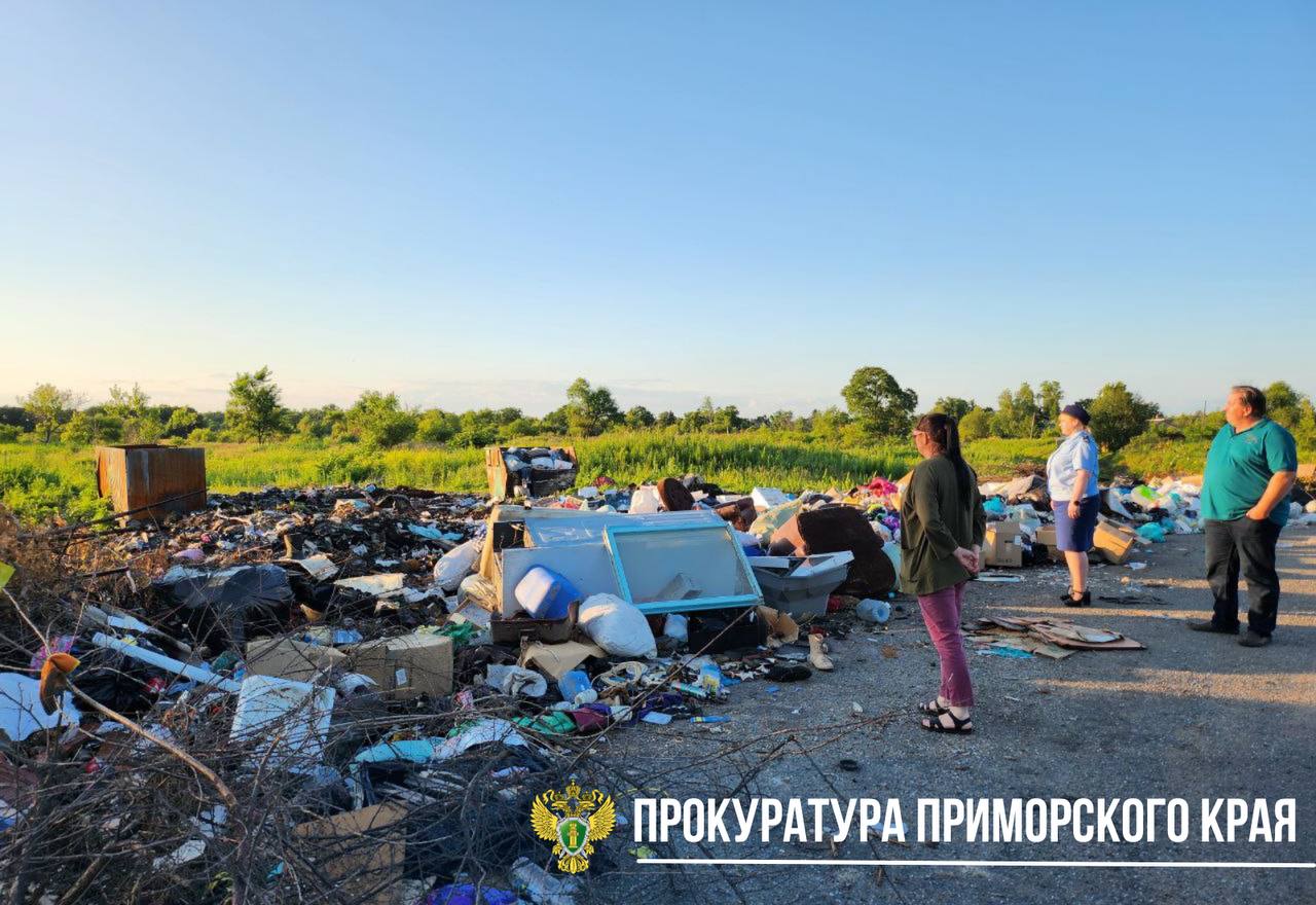Прокуратура контролирует ликвидацию несанкционированной свалки в Лесозаводске В районе улицы Луговой в Лесозаводске обнаружена несанкционированная свалка твёрдых бытовых отходов. Ранее ситуация уже привлекала внимание надзорного ведомства. Прокурор обратился в суд с иском о возложении обязанности на Министерство транспорта и дорожного хозяйства Приморского края и администрацию Лесозаводского муниципального округа организовать вывоз мусора с указанного места. По поводу увеличения количества отходов на месте свалки в социальных сетях на место выехала исполняющая обязанности Лесозаводского межрайонного прокурора Анна Кадетова, вызвав на место представителей администрации и АО «Примавтодор». Прокуратура взяла на контроль мероприятия по ликвидации свалки. Исполнение решения по исковому заявлению также будет контролироваться прокуратурой.