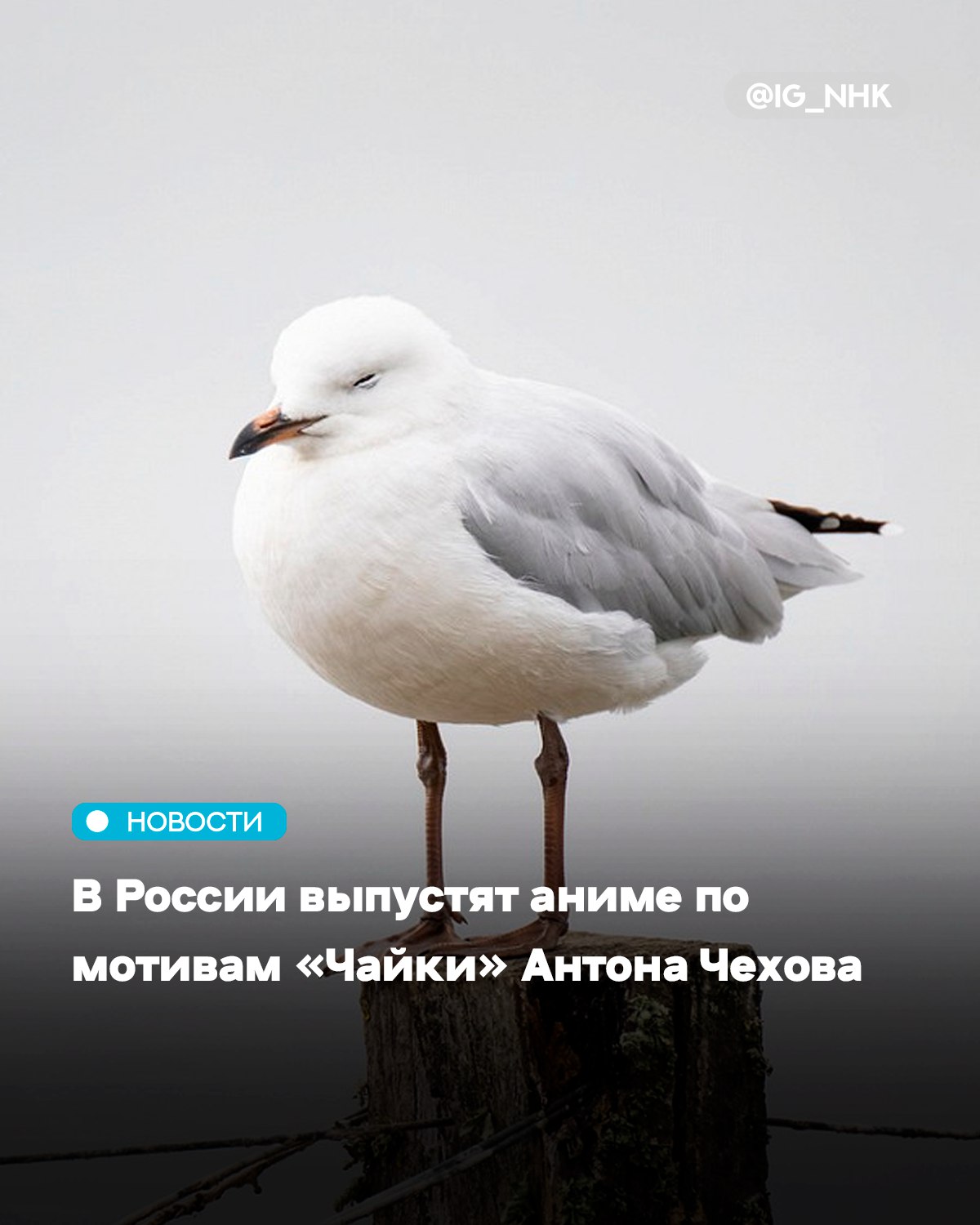 Киностудия Союзмультфильм и компания Dikidigital разработают мультфильм по мотивам пьесы Антона Чехова Чайка Он будет создан в стиле аниме японской мультипликации сообщил Интерфакс По словам генпродюсера Союзмультфильма Юлии Осетинской будущий проект сохранит целостность и смыслы оригинального произведения Однако представят их в формате который как считают на студии релевантен современной молодой аудитории Спустя почти 130 лет после первого показа в Александринском театре великая русская драма вернется в новом формате подчеркнула Осетинская В данный момент картина находится в стадии препродакшна Кто станет режиссером и сценаристом анимационной ленты пока не раскрывается Когда состоится релиз также неясно Ранее Союзмультфильм анонсировал создание игрового фильма о коте Матроскине герое культового мультфильма Трое из Простоквашино Его сценаристов выступит Олег Маловичко работавший над Елками и Льдом Источник Афиша Daily