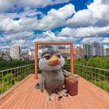 Аватар Телеграм канала: Mitino.daily