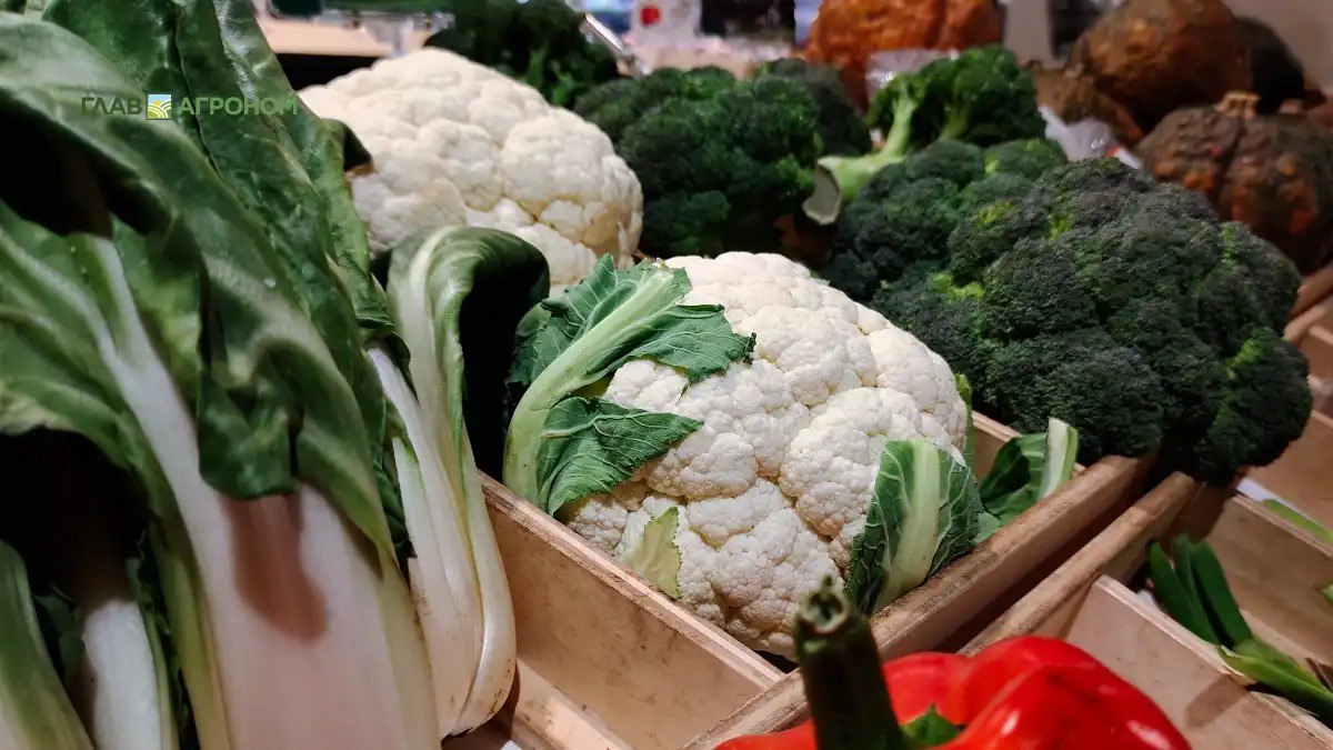 Syngenta объявила о соглашении с Heritable Agriculture в сфере подбора сортов овощей Компания Syngenta Vegetable Seeds заключила соглашение с Heritable Agriculture об использовании искусственного интеллекта для подбора сортов овощных культур для разных регионов мира Подробнее читайте