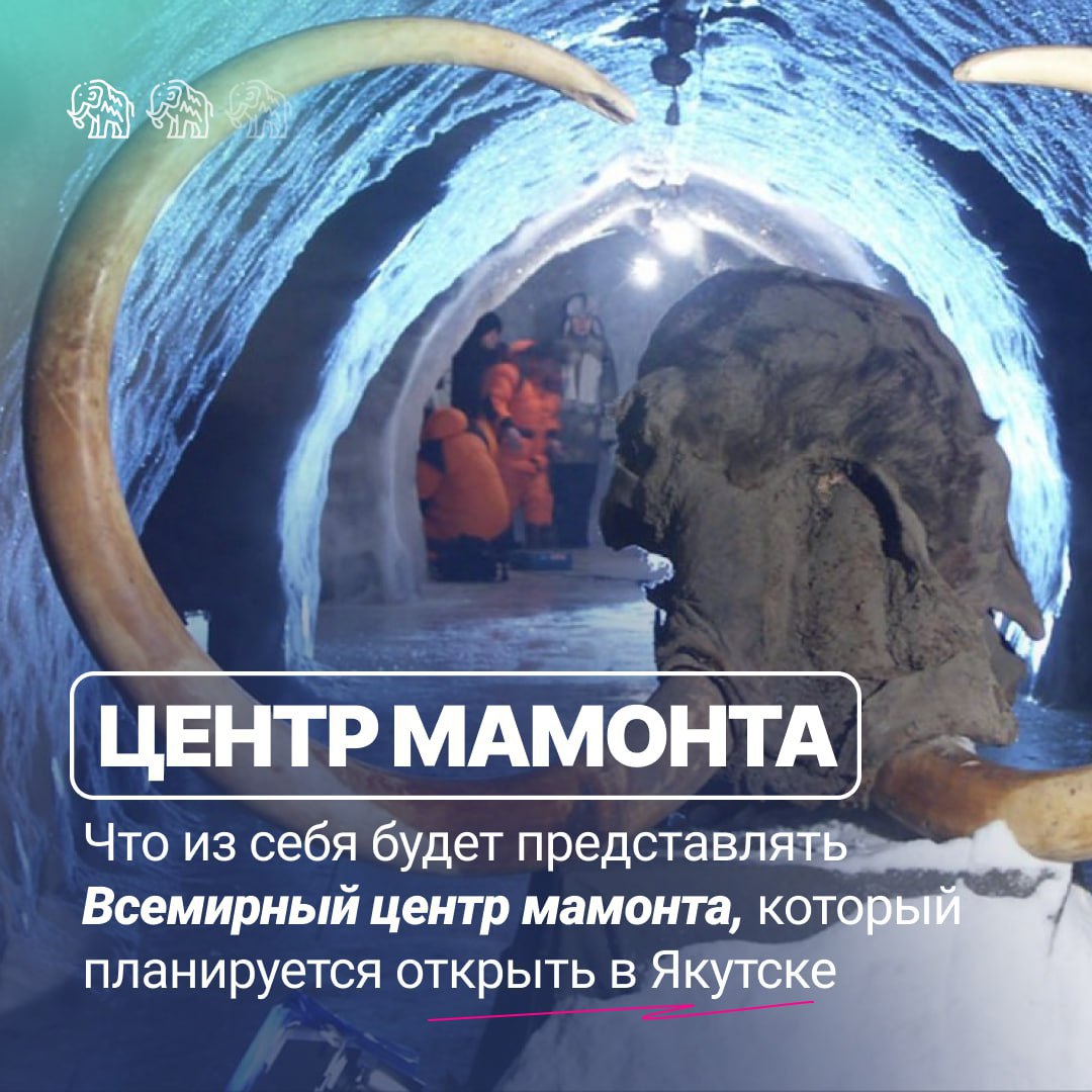Якутия – мировой лидер палеонтологических открытий. Именно на просторах нашей республики сделано 90% находок мамонтовой фауны.   Чтобы вывести исследования на новый уровень, Академия наук Якутии совместно с  фондом «Эффект Мамонта» разработала концепцию создания Всемирного центра мамонта. Главная его миссия – повысить биоразнообразие планеты, вернув к жизни древних гигантов.  Что предполагает этот проект?   Криохранилище, которое обеспечит максимально приближенные к естественным условия хранения останков     Научно-лабораторный комплекс, позволяющий безопасно работать с древними клетками, ДНК, РНК.    Музей и Парк ледникового периода, где туристы смогут увидеть не только ископаемых животных, но и представителей мамонтовой фауны, доживших до наших дней: бизонов, лошадей, овцебыков, сайгаков.  Подробности проекта раскроют на выставке «Улица Дальнего Востока», которая пройдет в сентябре в рамках Восточного экономического форума во Владивостоке, сообщил полпред ДФО Юрий Трутнев.