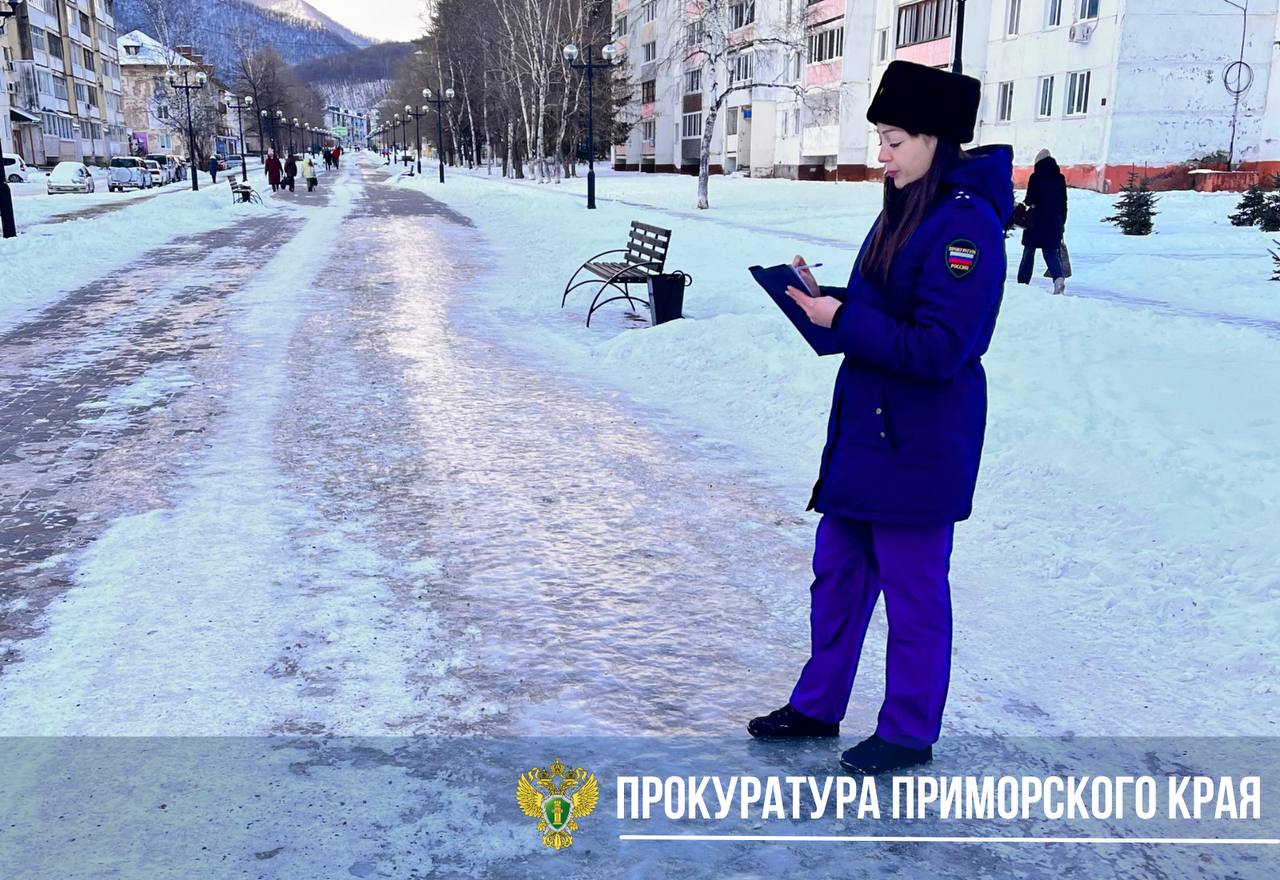 Новые нарушения обнаружены в г. Дальнегорске во время тотальной проверки.  Работники прокуратуры Приморского края посетили с проверкой бульвар имени Героя Советского Союза Полины Осипенко в Дальнегорске.  Накануне бульвар оснастили малыми архитектурными формами, однако проверка показала, что поставили их практически на лед.  Уборка и содержание общественного простраства вызвали существенные нарекания, в связи с чем в отношении и.о. директора МКУ «Обслуживающее учреждение» Дальнегорского городского округа возбуждено дело об административном правонарушении по ст. 7.21 Закона Приморского края «Об административных правонарушениях»  нарушение иных норм и правил в сфере благоустройства .   Главе администрации внесено представление, результаты рассмотрения которого и фактическое устранение нарушений поставлены на контроль в прокуратуре.  Проверка прокурором заканчивается