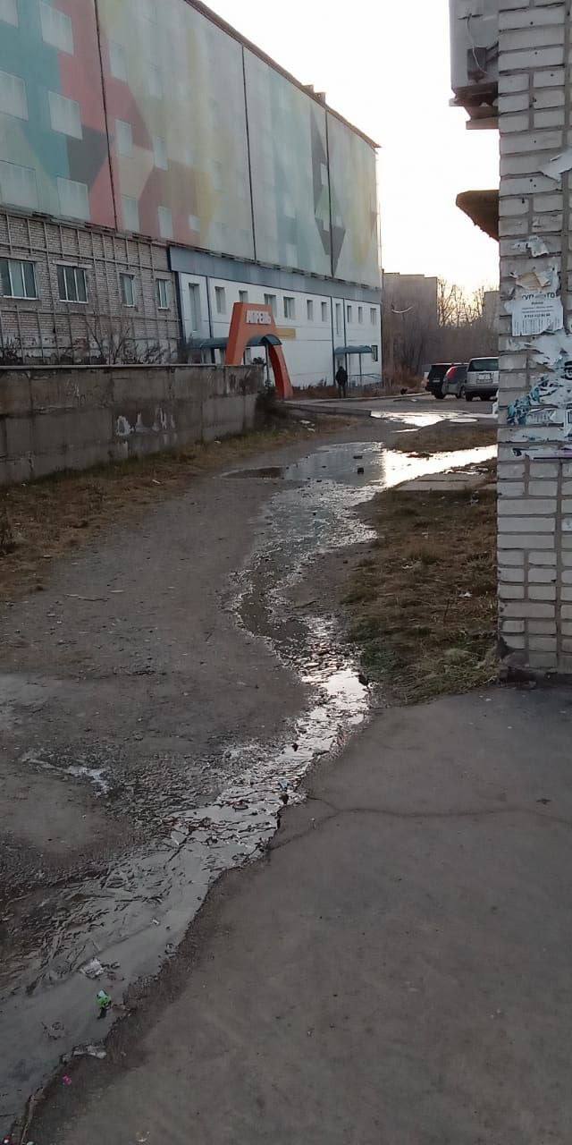 Последствия порыва на сетях водоснабжения и разлива воды на проезжей части в районе пр. Строителей, 6 пытаются устранить ремонтники Водоканала. В связи с тем, что меры не были приняты своевременно, на ситуацию отреагировала Амурская городская прокуратура.