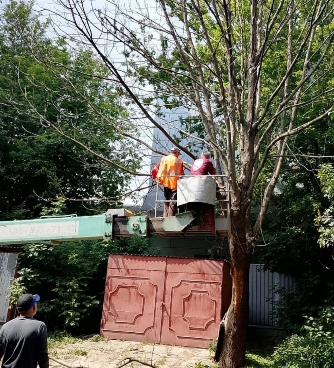 Специалисты осмотрели 59 дворов и проверили, соответствуют ли они требованиям правил благоустройства. В результате мониторинга выявили 12 нарушений. Девять касались надписей на фасадах, три — состояния контейнерных площадок и одно нарушение связано с плохой уборкой придомовой территории. Эксперты отметили плохую работу некоторых управляющих компаний: «УК Эксперт», «УК Гук», «УК Аврора+», «УК Курска», «Лидер+», «ТСЖ Уютных дом», «УК Соловьиный край», «УК Курск-Центр», «УК ЖилсервисЦентр» и другие.
