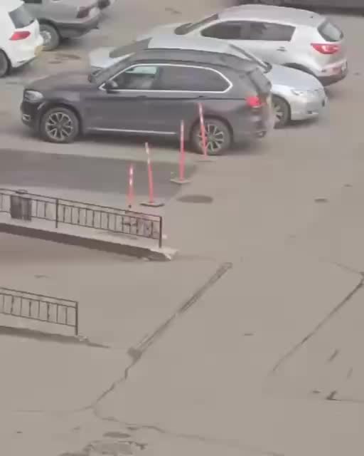 Редкая белая лиса замечена в Реутове и Перевозе