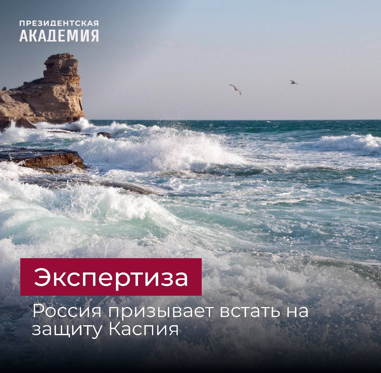 «Сохранение и рациональное использование Каспия — наша общая ответственность» Премьер-министр Михаил Мишустин предложил прикаспийским странам вместе работать над созданием долгосрочной модели прогнозирования колебаний уровня Каспия Одна из главных задач — создать эффективную и долгосрочную модель прогнозирования колебаний уровня этого уникального водоема Ранее Президент России Владимир Путин поручил Правительству подготовить программу действий по вопросу борьбы с обмелением Каспийского моря Мнения экспертов Уникальность Каспия определяется отсутствием у него прямой связи с водами Мирового океана его размерами и соленостью, которые больше подходят для моря Жизнь населения пяти прибрежных государств — России, Казахстана, Туркмении, Азербайджана и Ирана — тесно связана с состоянием этой удивительной экосистемы. В то же время богатство и разнообразие ресурсов Каспийского моря — основа экономики прикаспийских стран — рассказывает доцент, старший научный сотрудник Академии Александра Авдонина Прогнозирование, основанное на анализе имеющихся на сегодняшний день данных о причинах и характере изменений уровня Каспия, позволит представить варианты возможных изменений уровня Каспия минимизировать риски для хозяйственной деятельности и здоровья людей проработать разные сценарии ситуаций и быть готовыми к ним В условиях экологического кризиса, влияющего на устойчивость биоразнообразия и качество воды, совместные усилия научных сообществ способны создать действенные методы мониторинга и восстановления экосистем — убежден директор астраханского филиала Президентской академии Андрей Петраев Подробнее #Академия_Экология