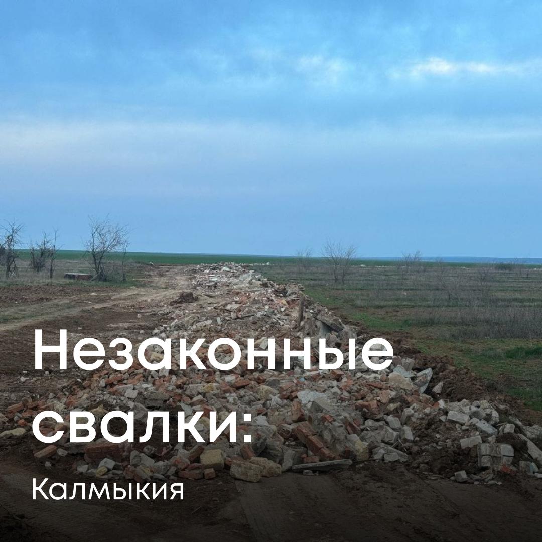 В Республике Калмыкия зафиксировано захламление почвы строительными отходами. Площадь загрязненной территории — около 2500 м². Специалисты Службы провели выездное обследование, подтвердили факт сброса отходов и отобрали необходимые пробы. Сейчас устанавливаются ответственные лица и рассчитывается размер причиненного ущерба. Ситуация под контролем.