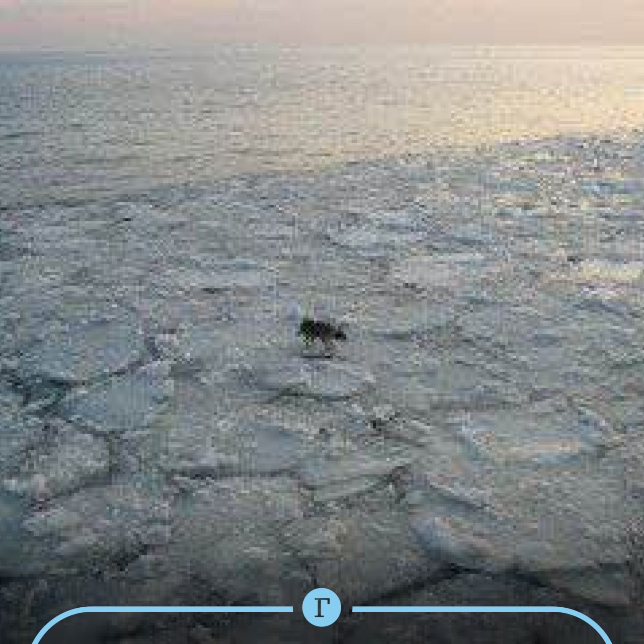 Во Владивостоке собаку унесло в море на льдине Жители микрорайона Емар активно пишут в местные паблики о собаке которую уносит в открытое море По словам очевидцев животное дрейфует все дальше от берега Они рассказали что обращались в экстренные службы однако на помощь животному никто не выехал сославшись на то что речь идет не о человеке Сейчас неравнодушные просят помощи у рыбаков или тех кто находится на воде надеемся что пушистого спасут