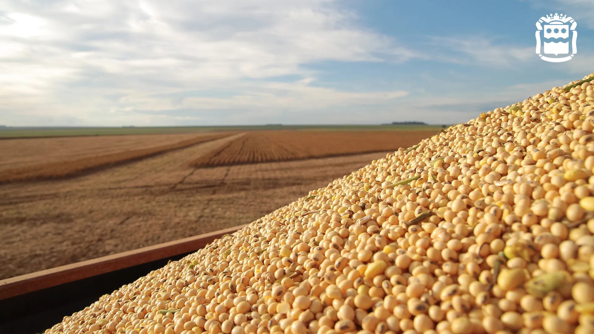 Василий Орлов Рекорд в сельском хозяйстве аграрии собрали 1 7 миллиона тонн сои Лучшие показатели у Тамбовского Октябрьского Михайловского Завитинского округа и Константиновского района ОтчётГубернатора2025 ПриамурьеИтоги2025