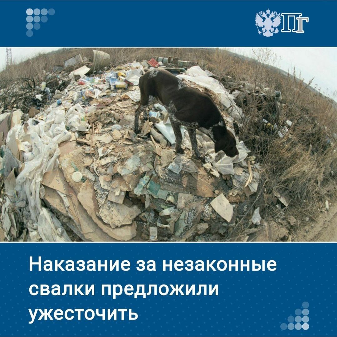 Если тот, кто создал свалку, или собственник земельного участка, на котором она возникла, не уберет мусор в установленный законом срок, сделать это будут обязаны муниципальные власти, которые, в свою очередь, смогут потребовать у виновных компенсации понесенных расходов.   Такой законопроект Комитет Госдумы по экологии и природным ресурсам рекомендовал принять в первом чтении на заседании 15 января.   Ко второму чтению депутаты анонсировали поправки: у владельцев участков, не принимающих меры по ликвидации свалок, предложили конфисковывать землю.     Кого и как накажут за неубранную свалку — наше издание узнало подробности    Подписаться на «Парламентскую газету»