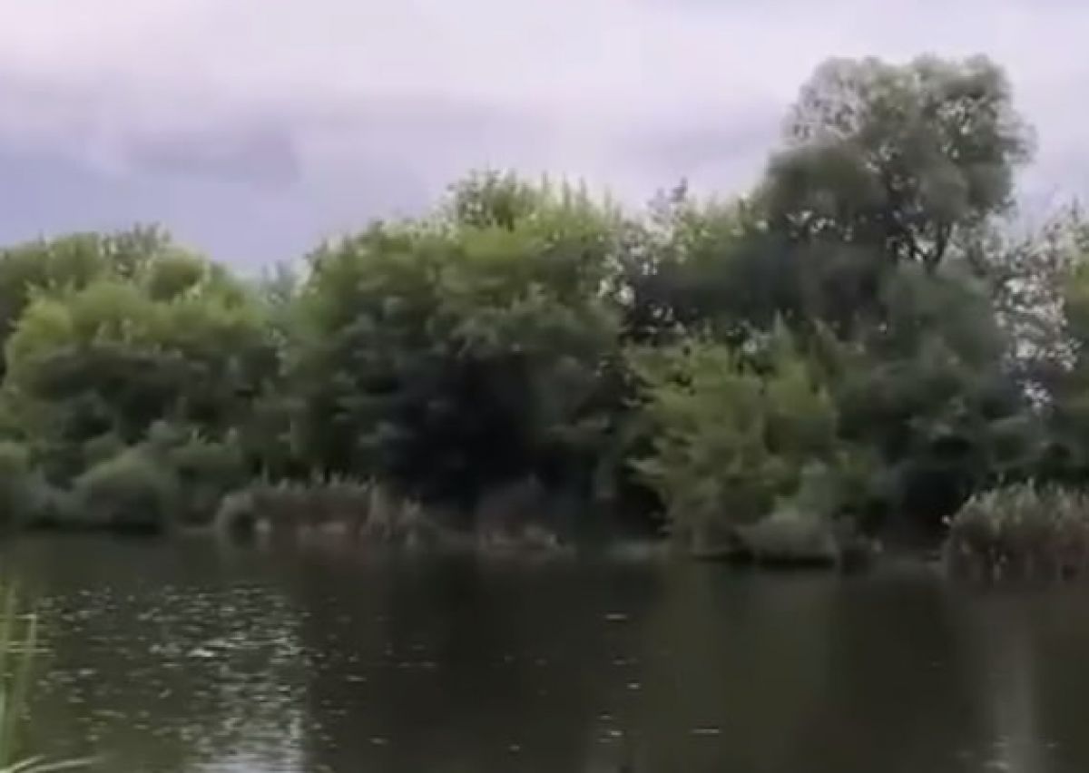 Воронежцы сообщили о неизвестных, откачивающих воду из озера с помощью насосов     Причины и цель этих «работ» неизвестны. Как отмечают местные жители, озеро осушают постоянно — уже четвертый день. Также у места, где идет откачка воды, появился подъезд для грузового транспорта. Очевидцы характеризуют ситуацию как полнейший беспредел.  ↗  Прислать новость   Подписаться