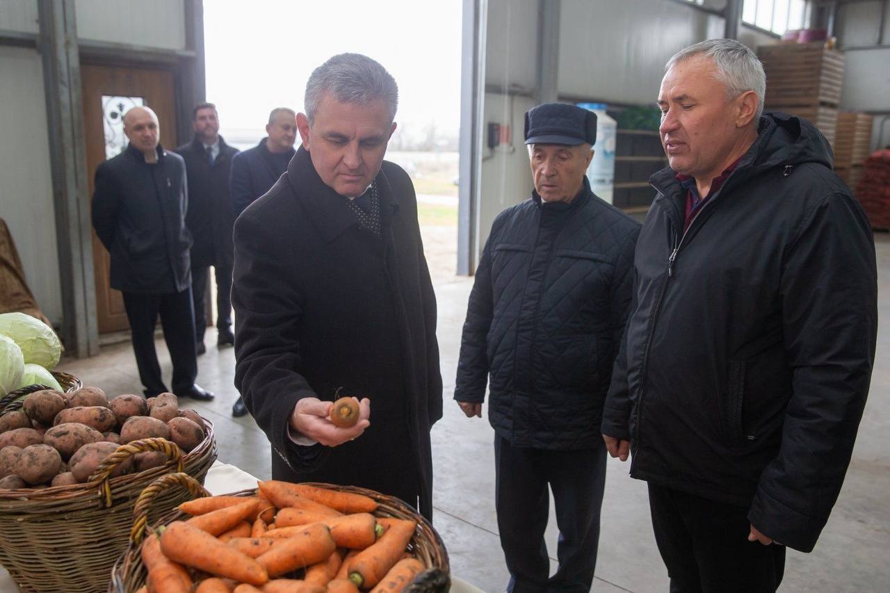 В этом году в Слободзейском районе собрали больше 5 тысяч тонн фруктов, почти 13 тысяч тонн зерна и больше 16 тысяч тонн овощей. И это без учета капусты, которую сейчас продолжают собирать.  Такими цифрами поделился глава Слободзейского района на встрече с Президентом. Вадим Красносельский посетил сегодня терновское сельхозпредприятие.