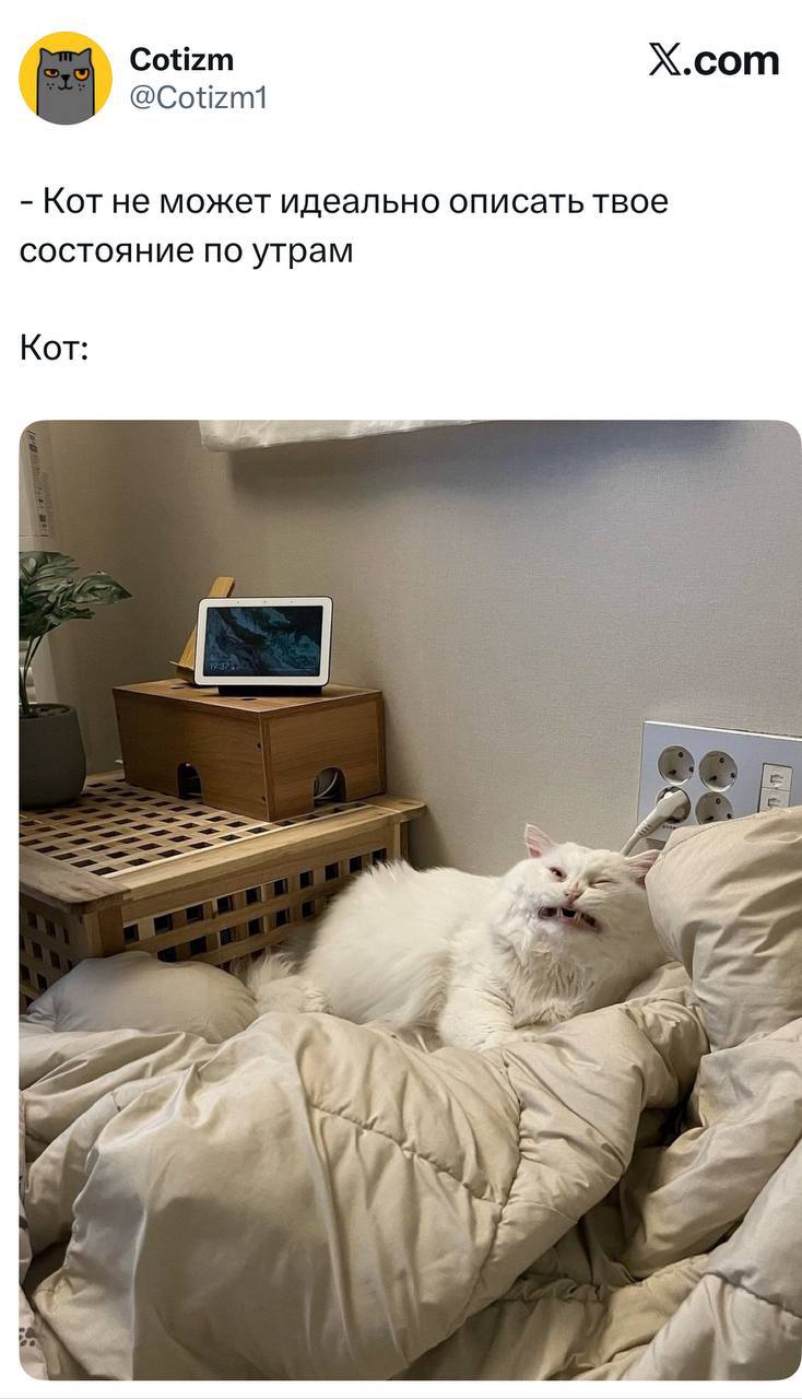 В сети всплыл фоторобот каждого из нас в понедельник утром Ознакомьтесь techmedia