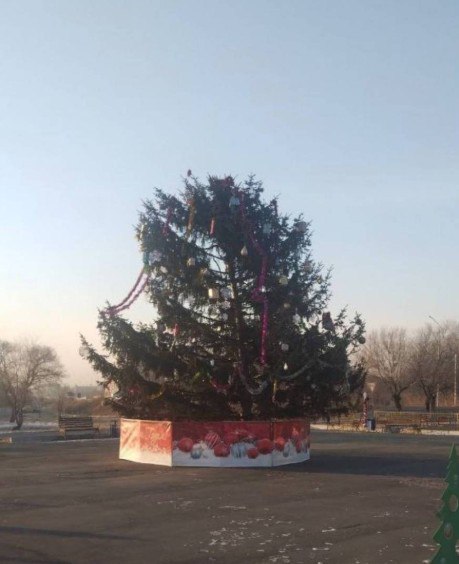 Важна ведь не форма а настроение Новогодняя елка установленная в селе Галёнки что в Приморье не осталась обойденной вниманием Некоторых смутила необычная форма дерева ель скорее квадратная чем треугольная В администрации заявляют что видели предложения установить искусственную ель однако на её покупку в бюджете нет средств Глава округа Александр Камлёнок объяснил что дерево селу подарил местный житель а у ёлки просто не отросла верхушка или её спилили давно К тому же по его словам комиссия выбирала из 10 12 вариантов и все остальные ещё страшнее Чиновник подчеркнул что не всё так плохо Украшение ещё не завершено и ёлка выглядит сырой Обещают добавить гирлянды сверху вниз и возможно подрезать верхние ветки чтобы придать более привычную форму Одним словом к 25 декабря всё будет красиво и достойно Сложность выбора сельской елки в рамках бюджетных ограничений так описал один из комментаторов резонансной темы Если бы поставили ёлку за несколько миллионов или даже за десятки тысяч рублей в посёлке жители Галëнок заставили бы главу района оправдываться за это Его бы обвинили в расточительстве Теперь им внешний вид не нравится