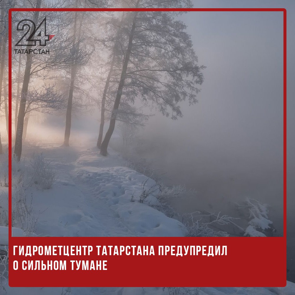 ‍  Гидрометцентр Татарстана предупредил о сильном тумане  Гидрометцентр РТ предупредил об ухудшении погодных условий в регионе. Вечером 10 февраля, а также ночью и днем 11 февраля на территории республики, включая Казань, ожидается сильный туман. Видимость может снизиться до 500 метров и менее.  Водителям и пешеходам следует быть предельно осторожными, соблюдать скоростной режим и правила дорожного движения.   -24