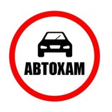 Аватар Телеграм канала: АвтоХам | 29