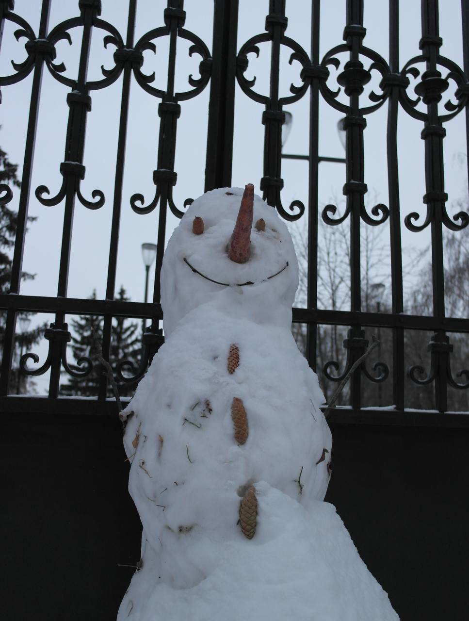 20 декабря 1699 года император Пётр Первый издал указ о переносе празднования Нового года в России с 1 сентября на 1 января и переходе страны на новое летоисчисление Также император приказал украшать дома еловыми и можжевеловыми ветками по образцам выставленным в Гостином дворе Поздравлять друг друга и веселиться Новый год в отличие от картошки быстро прижился Народ с удовольствием поздравлялся и веселился так что Петру пришлось выпустить второй указ запрещающий праздновать Новый год в феврале Адель ХАИРОВ фото тоже его journal kazan