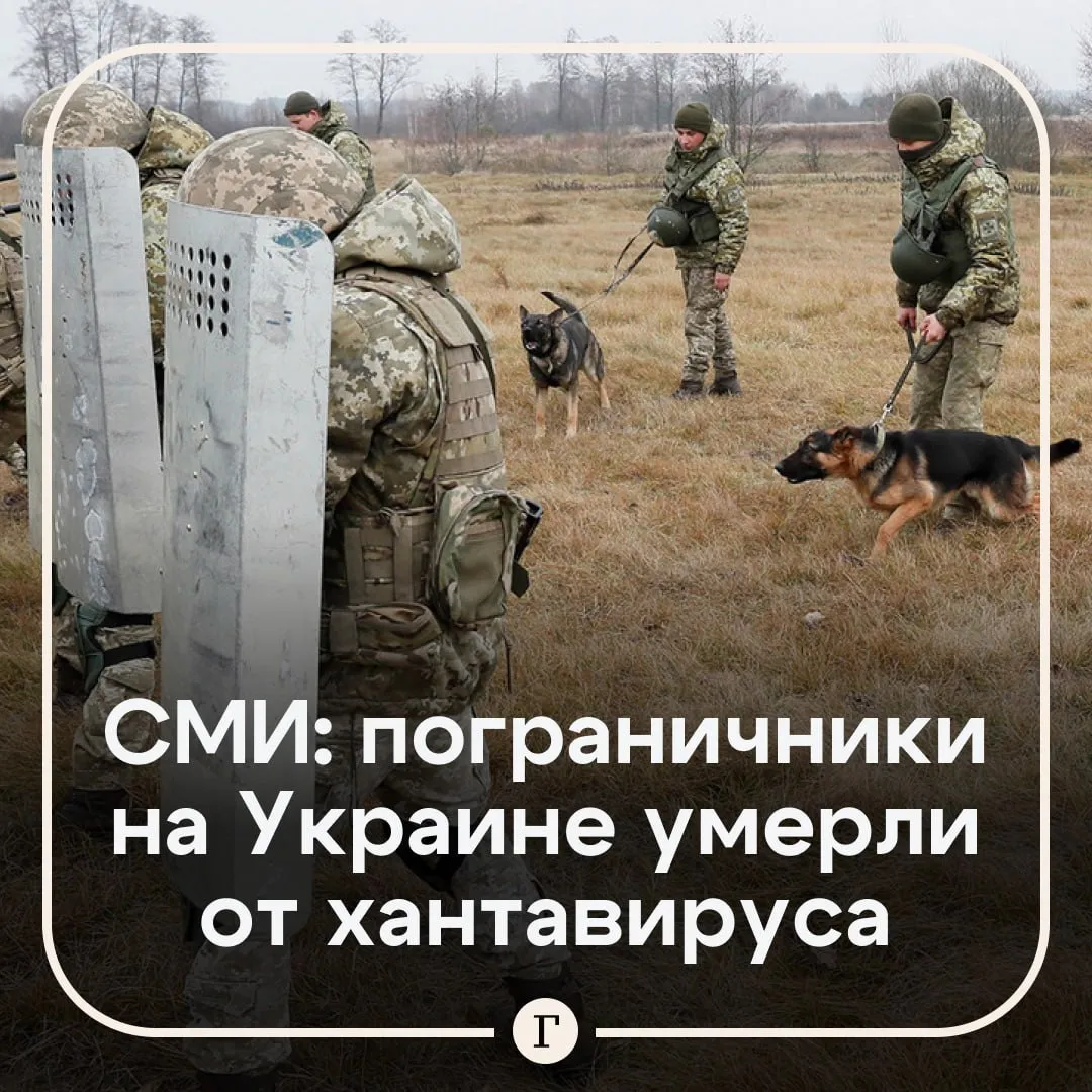 Украинские пограничники погибли из за хантавируса В Черниговской области зарегистрировали несколько подобных случаев Эти данные подтвердили врачи 11 го отряда ГПСУ погранслужба Украины прим ред По их словам от новой инфекции регулярно умирают пограничники находящиеся на позициях в Семеновском районе При этом официально власти Украины признают лишь восемь случаев хантавируса в Черниговской области   Накануне еще в двух странах обнаружили зараженных Во Франции диагностировали уже 22 случая В Польше гражданина с похожими симптомами поместили под наблюдение Специалисты полагают что пандемия маловероятна Читайте Газету Ru в MAX