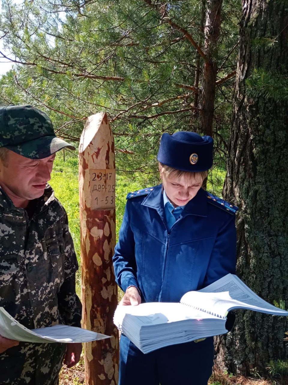 Прокуратура Кусинского района провела проверку деятельности пользователей лесных участков  Прокуратурой Кусинского района с привлечением специалистов ГКУ «Управление лесничествами Челябинской области Территориальный отдел «Кусинское лесничество» проведена проверка исполнения законодательства в сфере охраны и использования лесов.  Установлено, что арендаторами лесных участков порубочные остатки частично не собраны для сжигания, выявлены повреждения деревьев до степени прекращения роста.  Кроме того, в ходе осмотра участка в Магнитском участковом лесничестве выявлена незаконная рубка сосны, ущерб составил свыше 42 тыс. рублей.  Лесной участок передан в аренду предпринимателю для осуществления заготовки древесины с полным ведением лесного хозяйства, однако им не обеспечены мероприятия по охране арендованного участка от незаконных рубок.  В связи с ненадлежащим контролем за деятельностью арендаторов в части использования леса прокурорам района начальнику ГКУ «Управление лесничествами Челябинской области Территориальный отдел «Кусинское лесничество» внесено представление.   Материалы прокурорской проверки по факту незаконной рубки направлены в орган расследования, где возбуждено уголовное дело по признакам преступления, предусмотренного ч. 1 ст. 260 УК РФ.   Ход расследования уголовного дела поставлен на контроль.