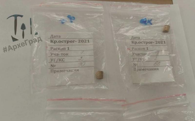 В Красноярске на территории Стрелки археологи обнаружили украшения эпохи древнекаменного века Их возраст составляет около 15 5 16 тысяч лет Находку сделали ещё во время раскопок в 2021 году В культурном слое исследователи нашли три бусины цилиндрической формы и подвеску Бусины изготовлены из трубчатой кости а подвеску сделали из резца северного оленя Руководитель отдела ООО Красноярская Геоархеология Александр Барков отметил что работа древнего мастера была по сути ювелирной Подробнее на Бабре красноярск kras 24
