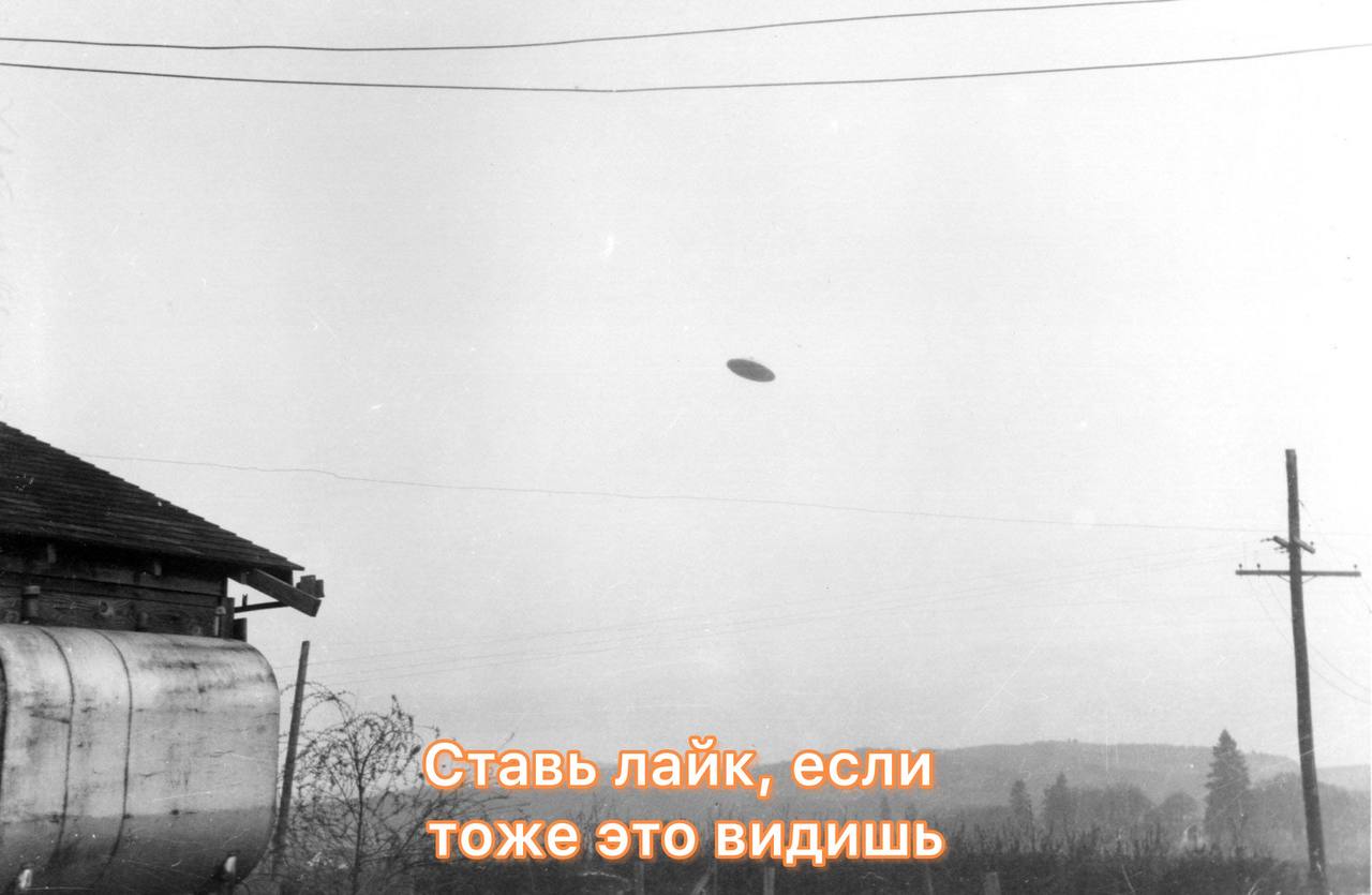 Илон Маск допустил встречу с инопланетянами и внеземными цивилизациями в ходе исследований звездных систем Чтобы убедиться в их существовании нужно строить города на Луне и специальные пусковые установки подчеркнул глава SpaceX Telegram Все каналы Фонтанки Max Дарим iPhone 17 Pro