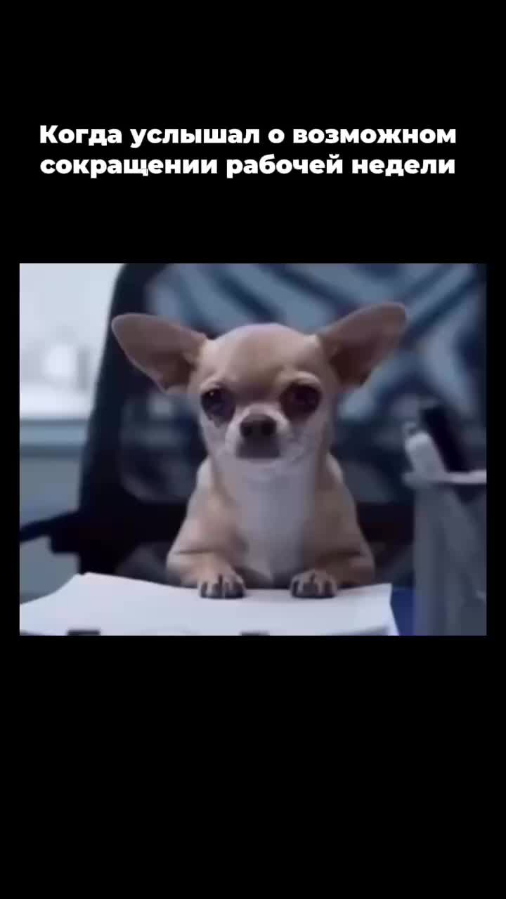 Ростсельмаш прогнозирует сокращение рабочей недели до 3-4 дней в 2026 году